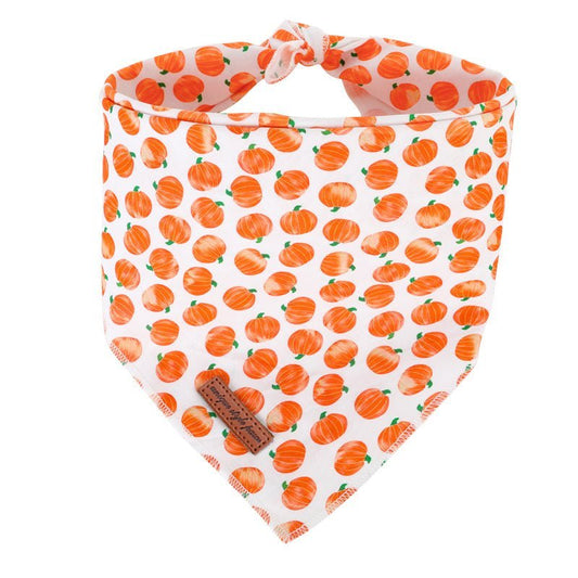 Pumpkin Patch Pet Bandanna - Pet Panache Boutique