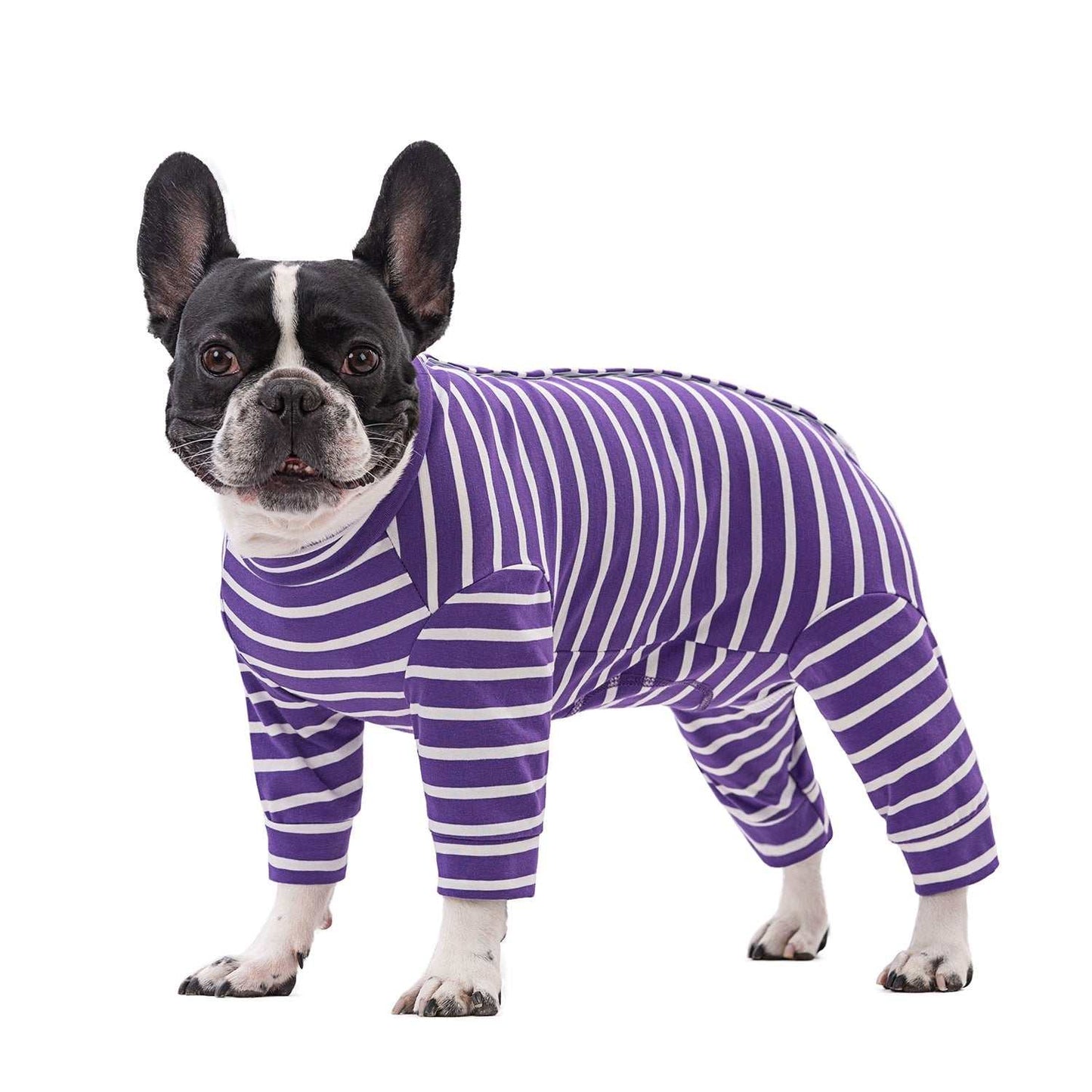 Purple Striped Pet Pajamas - Pet Panache Boutique