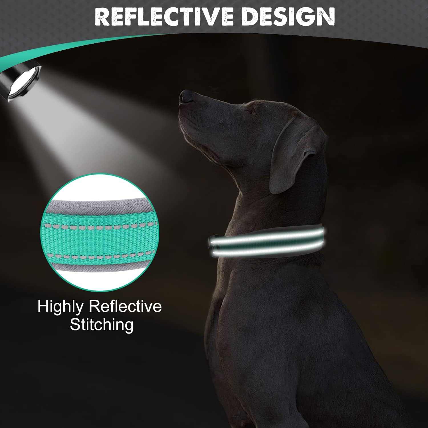 Reflective Padded Pet Collar - Pet Panache Boutique