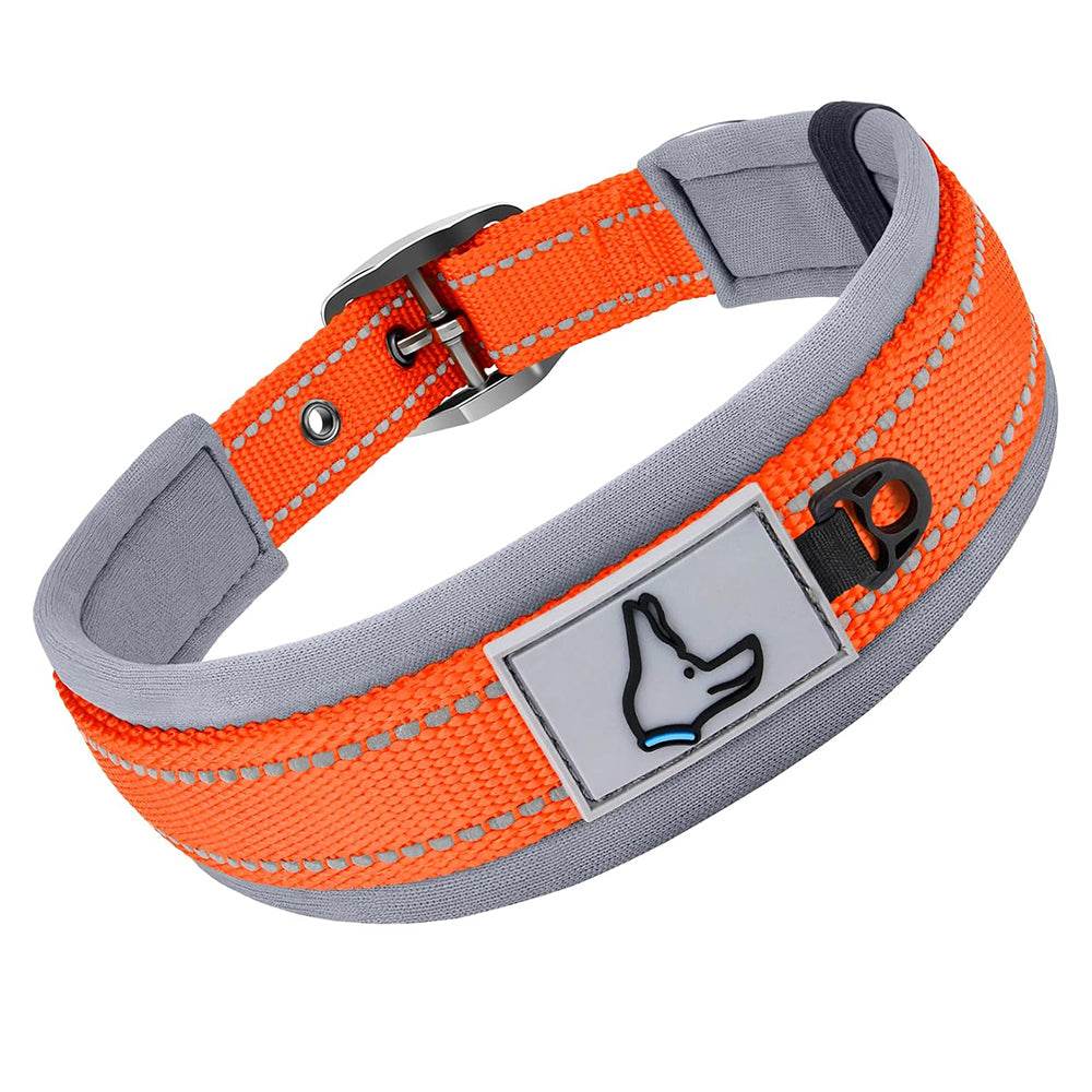 Reflective Padded Pet Collar - Pet Panache Boutique