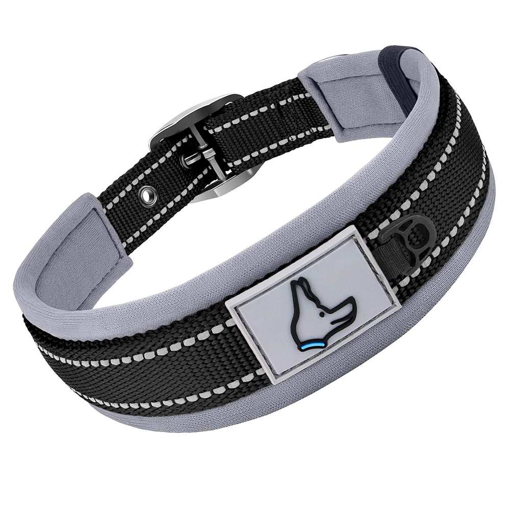 Reflective Padded Pet Collar - Pet Panache Boutique