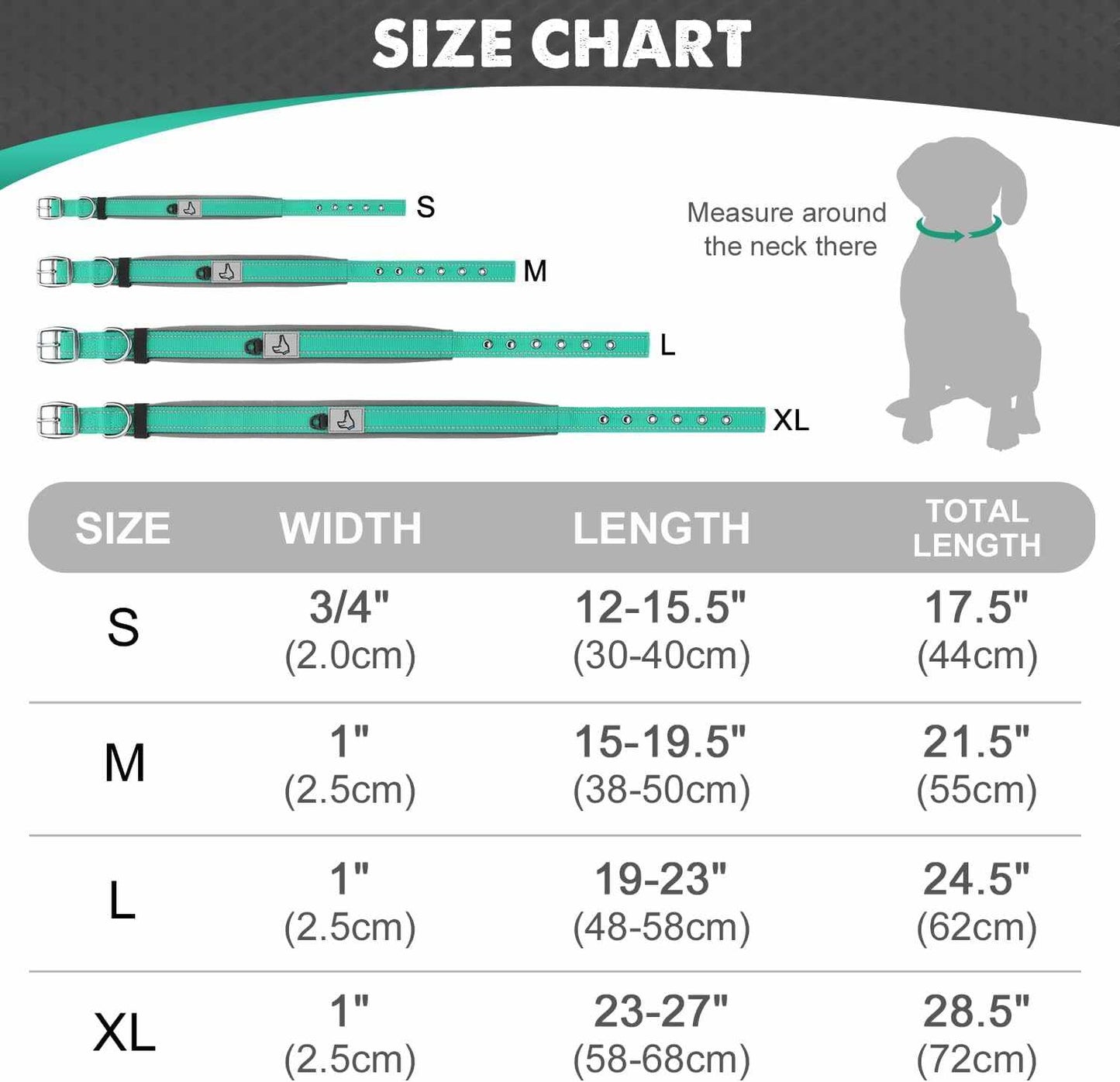 Reflective Padded Pet Collar - Pet Panache Boutique