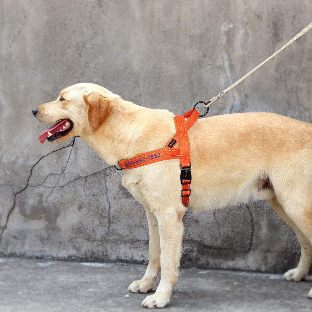 Reflective Personalized Pet Harness - Pet Panache Boutique