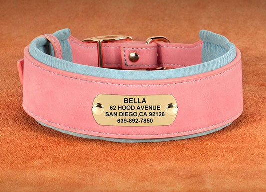 Extra wide pink leather pet collar with sky blue trim and personalized gold nameplate