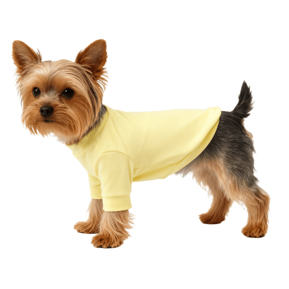 Yellow Pure Cotton Pet Shirt - Pet Panache Boutique