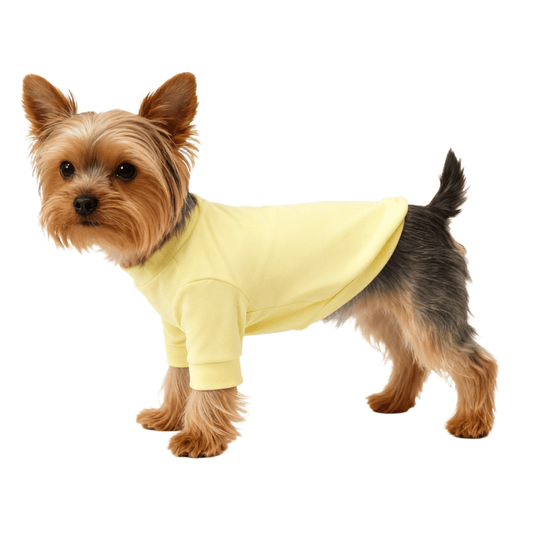 Yellow Pure Cotton Pet Shirt - Pet Panache Boutique